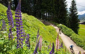 Randonnée VTT Portes du Soleil...