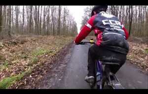 sortie du 21 janvier